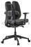 DUOREST D2-250 