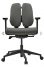 DUOREST D2-250 