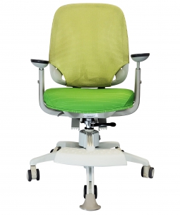 Компьютерное кресло Duorest DUOFLEX KE-50 CDSF_DT GREEN (зеленый)