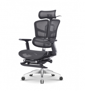 ERGOWING STANDARD (черный)