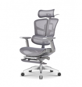 ERGOWING STANDARD (серый)